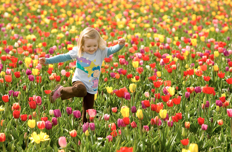 LLEGÓ LA PRIMAVERA!: Algunos consejos para que el cambio de ...